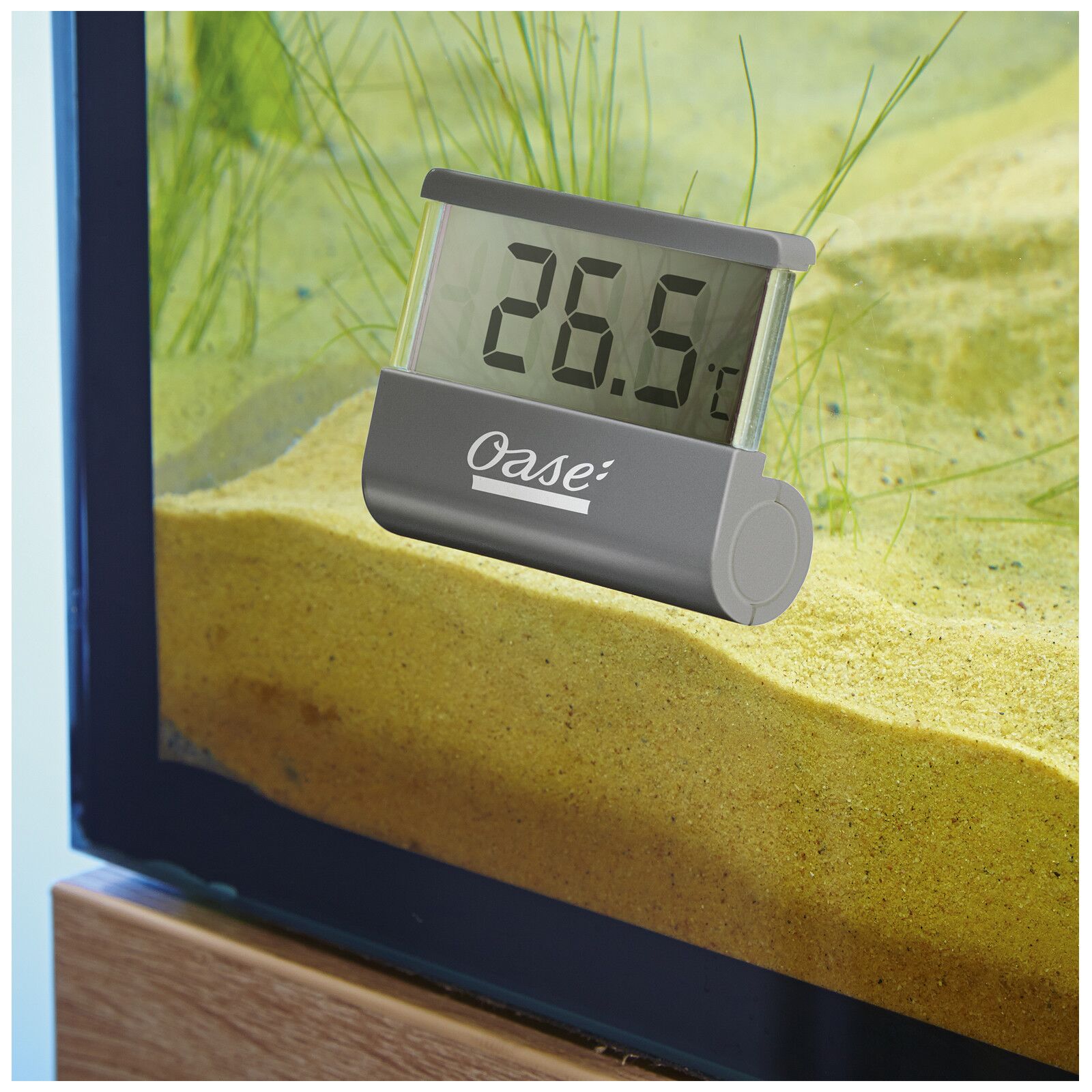 Oase - Digitales Thermometer
