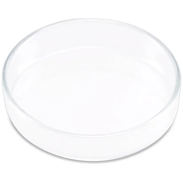 ISTA - Shrimp Feeding Dish