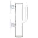 ISTA - Shrimp Egg - Hatching Glass Tumbler