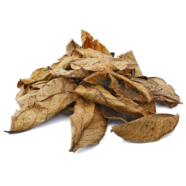 Walnut Leaves - Brown