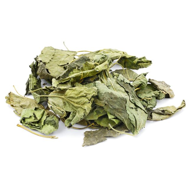 Mulberry Leaves - Green - 10x