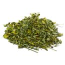 Moringa oleifera-Blätter