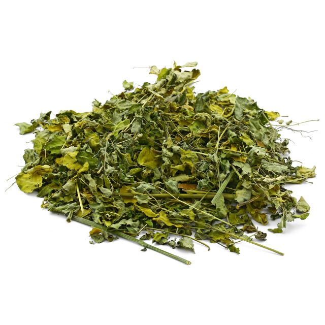 Moringa oleifera-Bl&auml;tter - 10 g