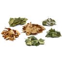 6er Laubmix - Nano