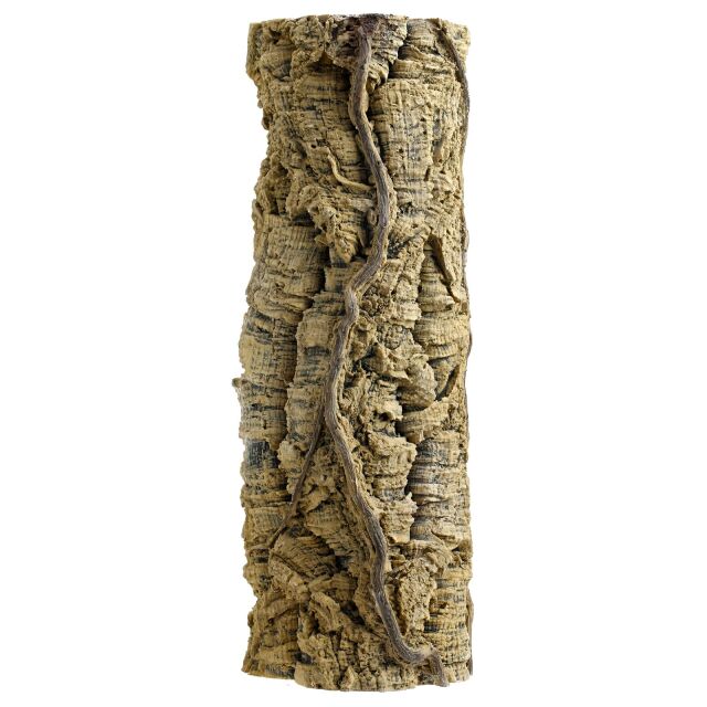 Back to Nature - Liana tree trunk