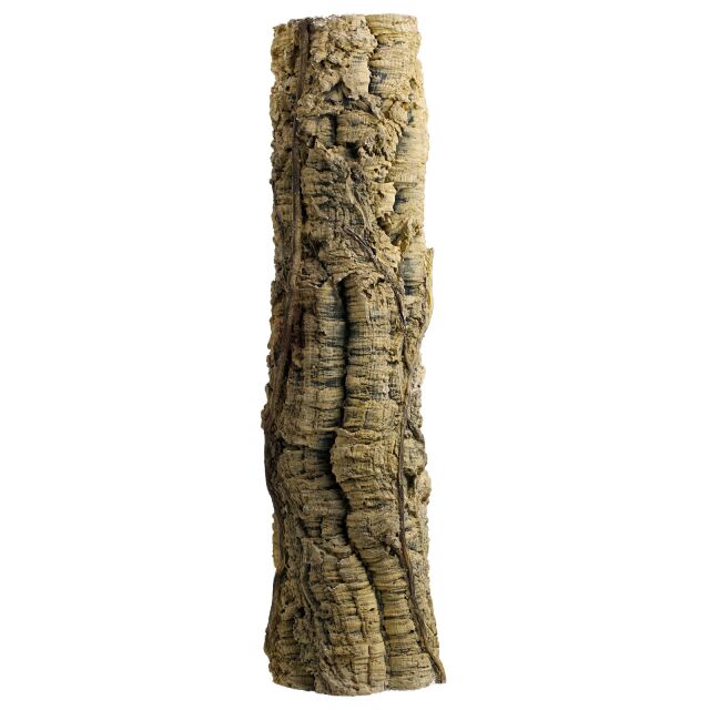 Back to Nature - Liana tree trunk