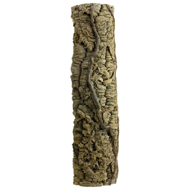 Back to Nature - Liana tree trunk