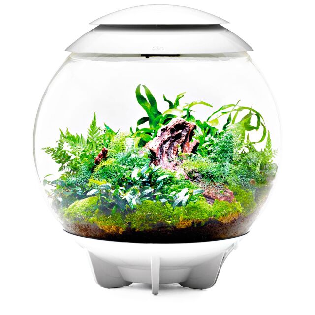 Oase - biOrb Air 60 - weiß | Aquasabi - Aquaristik Shop