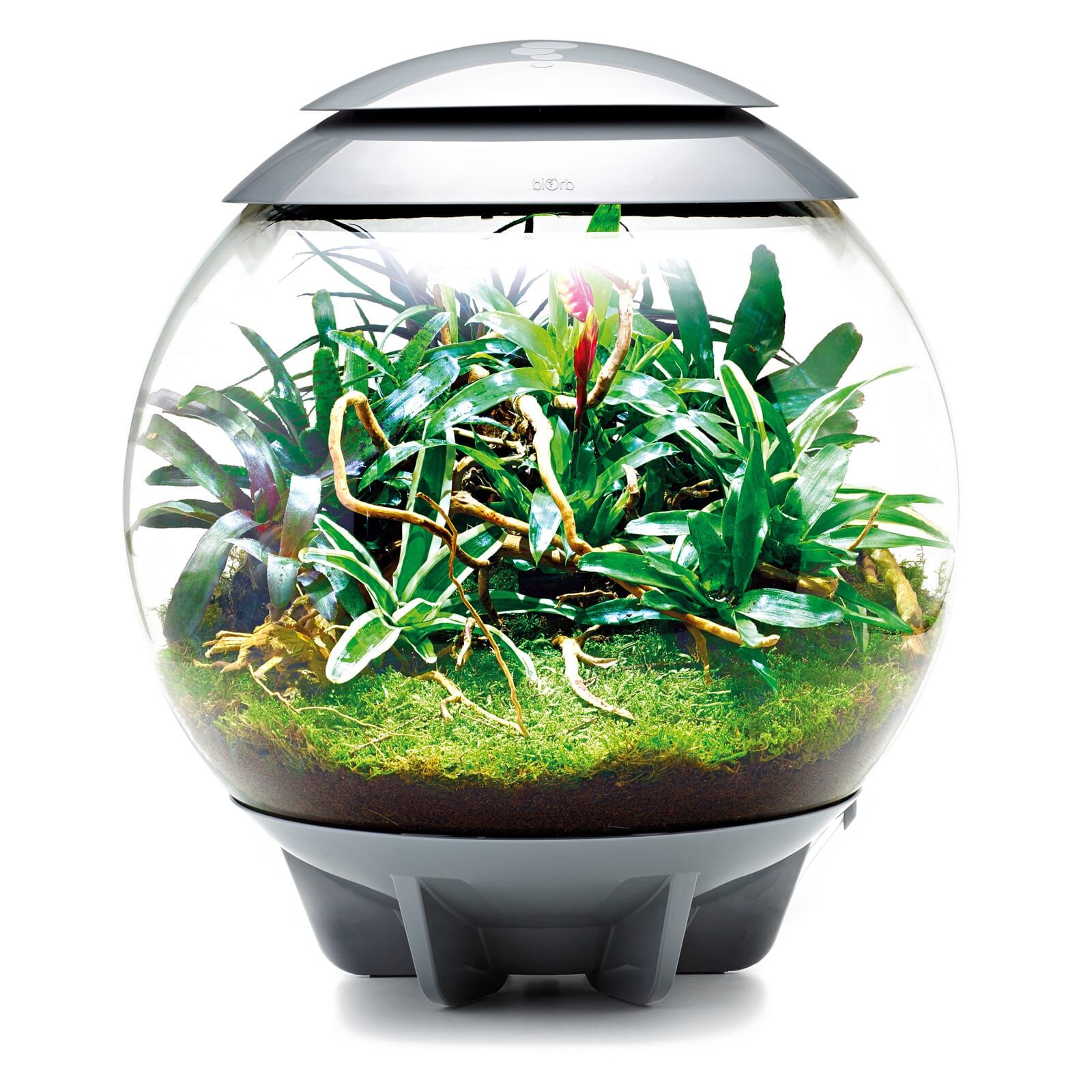 Oase - biOrb Air 60 - weiß | Aquasabi - Aquaristik Shop