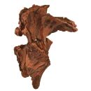 Oase - biOrb Air - Baumwurzel Ornament - bird