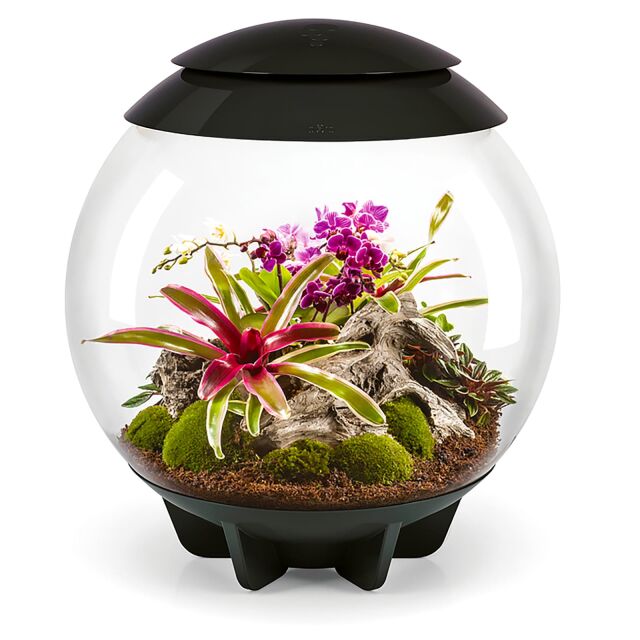 Oase - biOrb Air 60 | Aquasabi - Aquaristik Shop