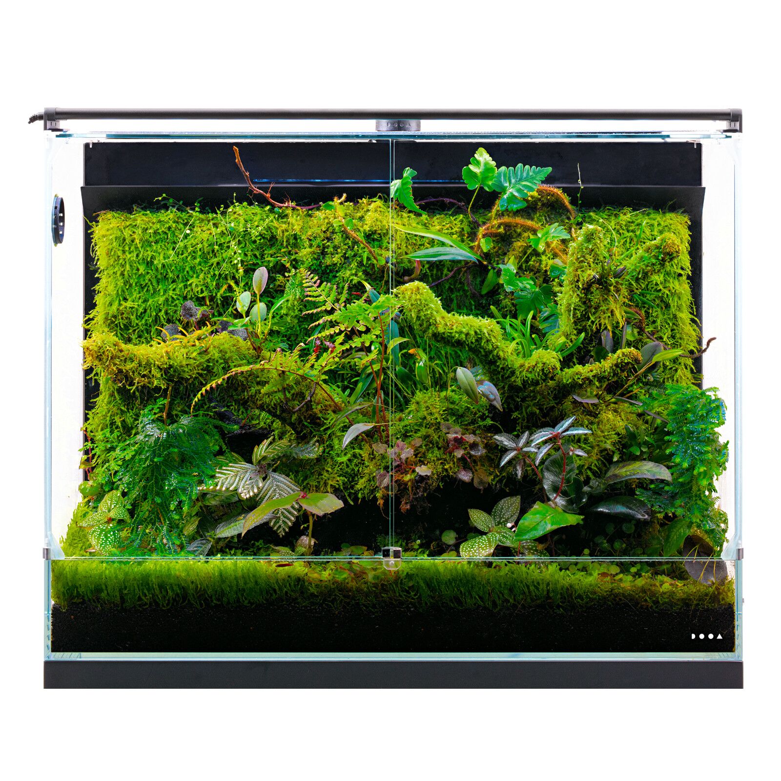 DOOA - System Paluda