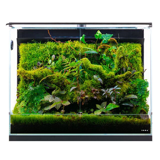 DOOA - System Paluda