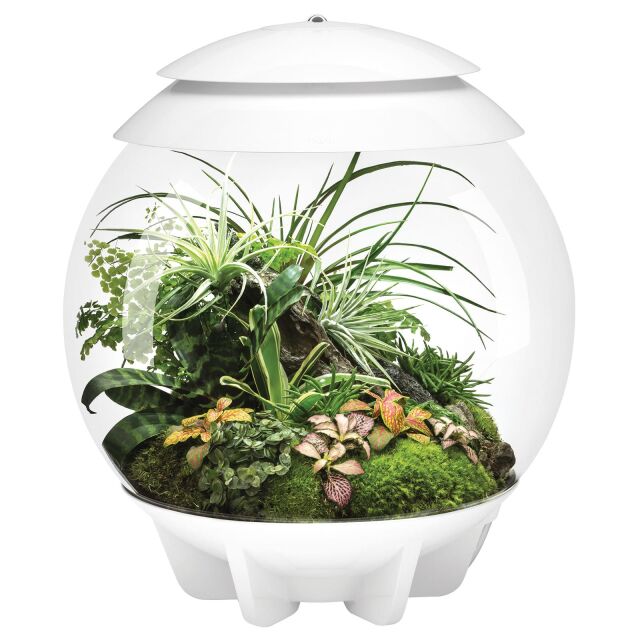 Oase - biOrb Air 30 - Grau | Aquasabi - Aquaristik Shop