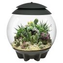 Oase - biOrb Air 30 - Grau