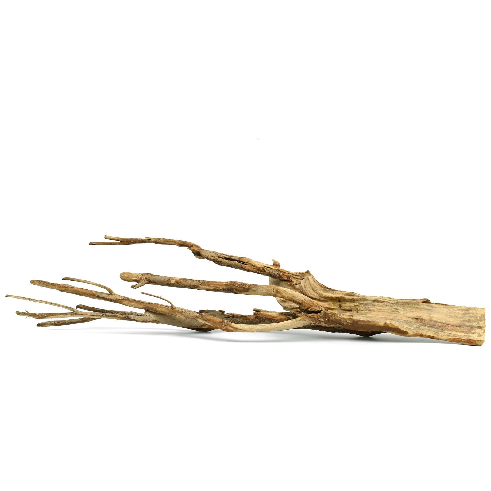 Talawa Wood