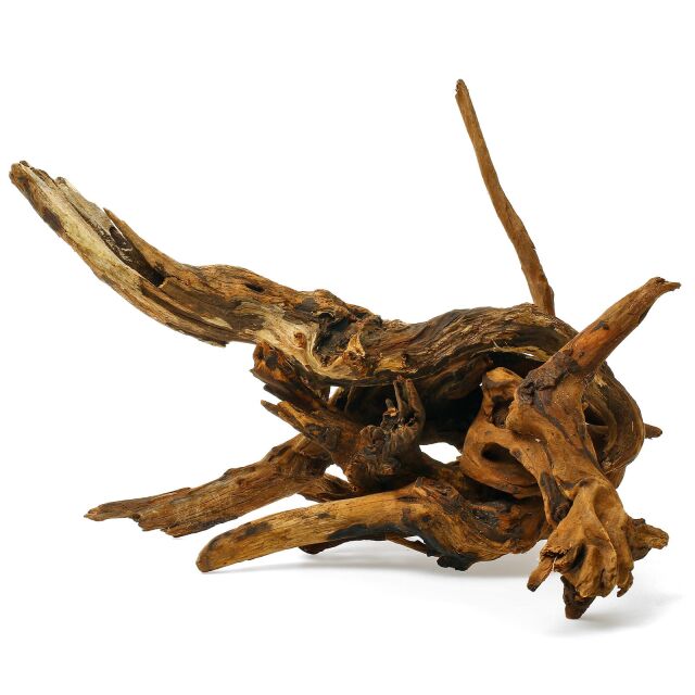 Flussholz - Driftwood - Set - M