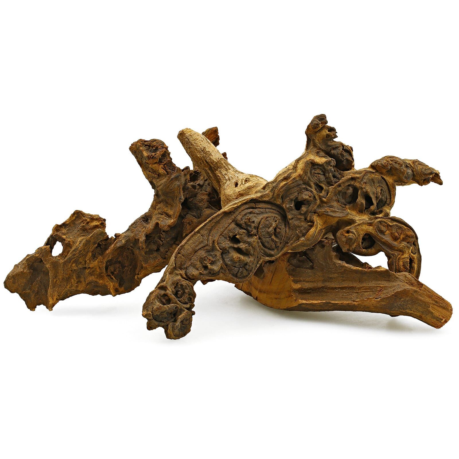 Savanna Wood