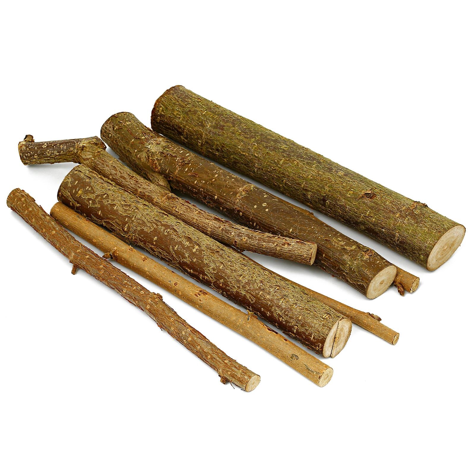 Haselnusszweige - 7x - 15 cm