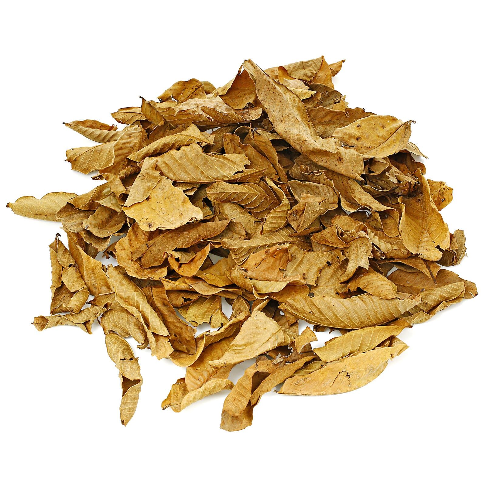 Walnut Leaves - Brown
