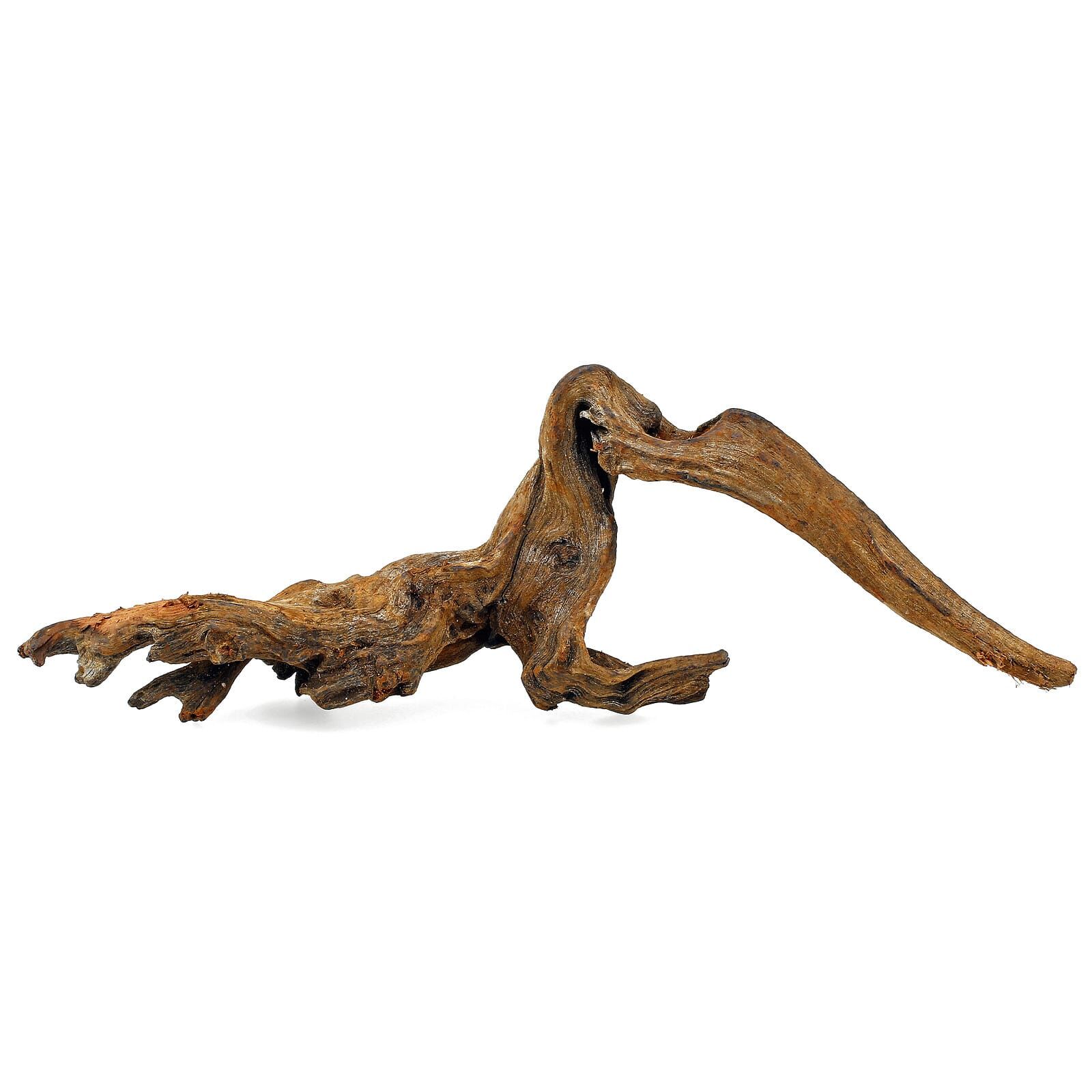 Gnarly Driftwood