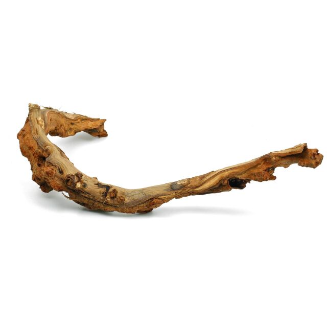 Gnarly Driftwood