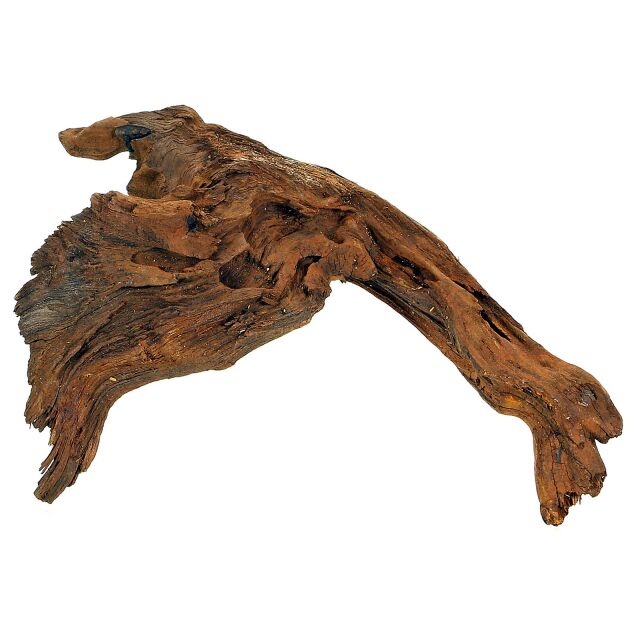 Flussholz - Driftwood