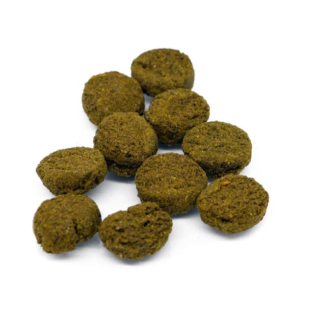 River Aqua - Tabs - Ground