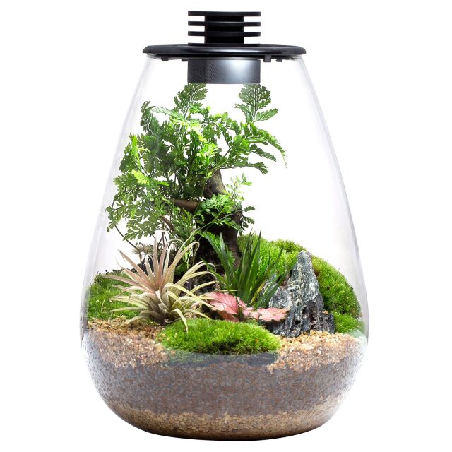 Bioloark - Bio Bottle LED - SD