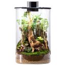 Bioloark - Bio Bottle LED - ZD