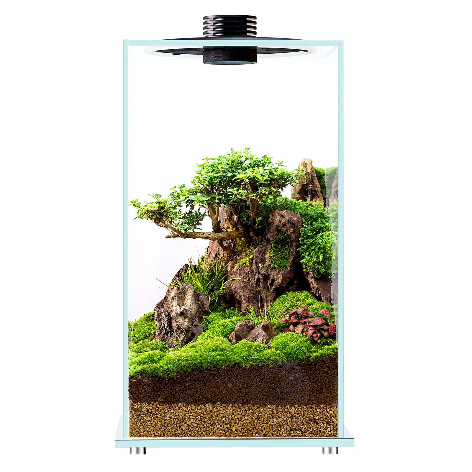 Bioloark - Bio Bottle LED - FD