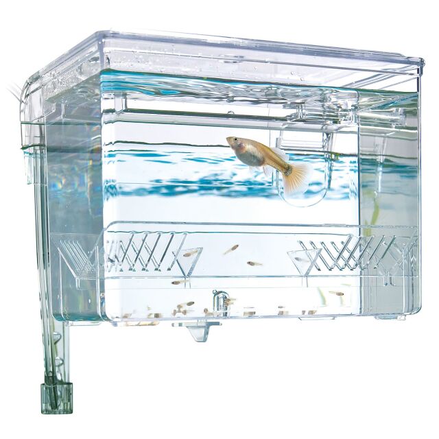 Fluval - Hang-on Aufzuchtbecken