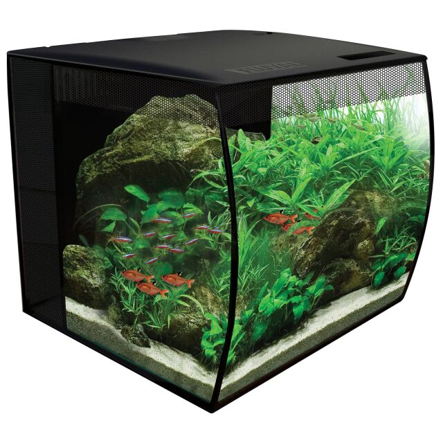 Aqua Nova 4er-Pack Ausströmerstein Sprudelstein Ausströmer 15x25mm blau  Aquarium kaufen bei