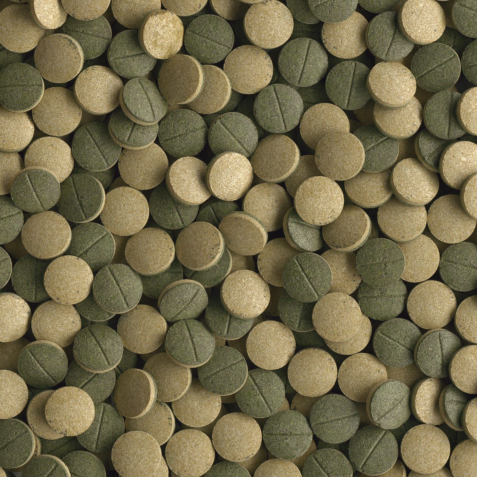 Tetra - Pleco Tablets XL - 133 Stück