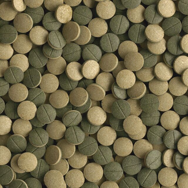 Tetra - Pleco Tablets XL - 133 pcs
