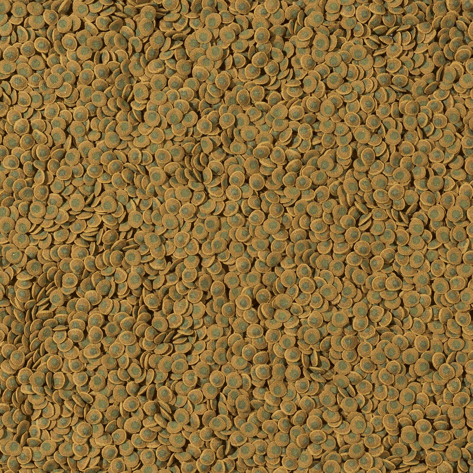Tetra - Pleco Veggie Wafers