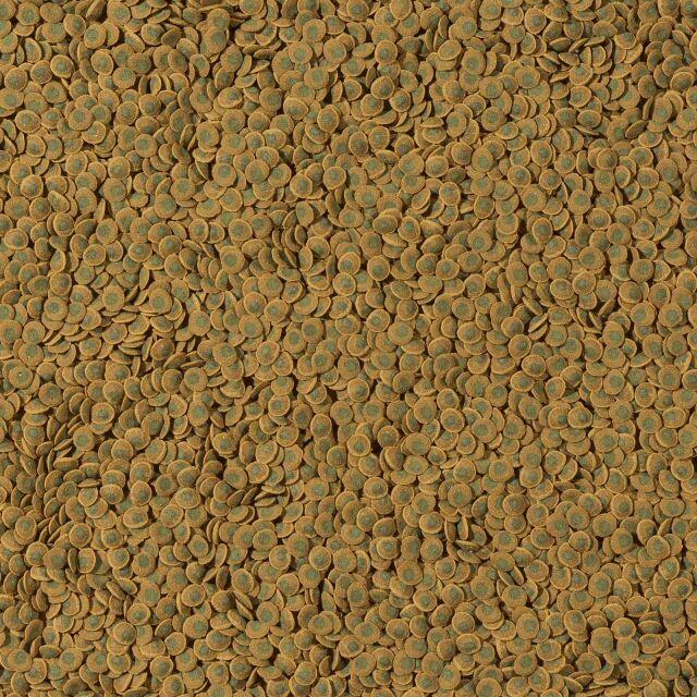 Tetra - Pleco Veggie Wafers