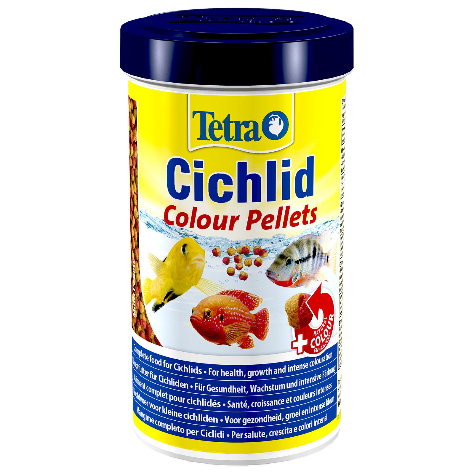 Tetra - Cichlid Colour
