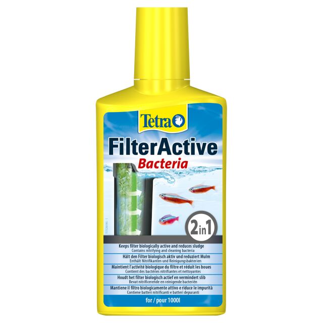 Tetra - FilterActive