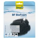 Tetra - BF BioFoam