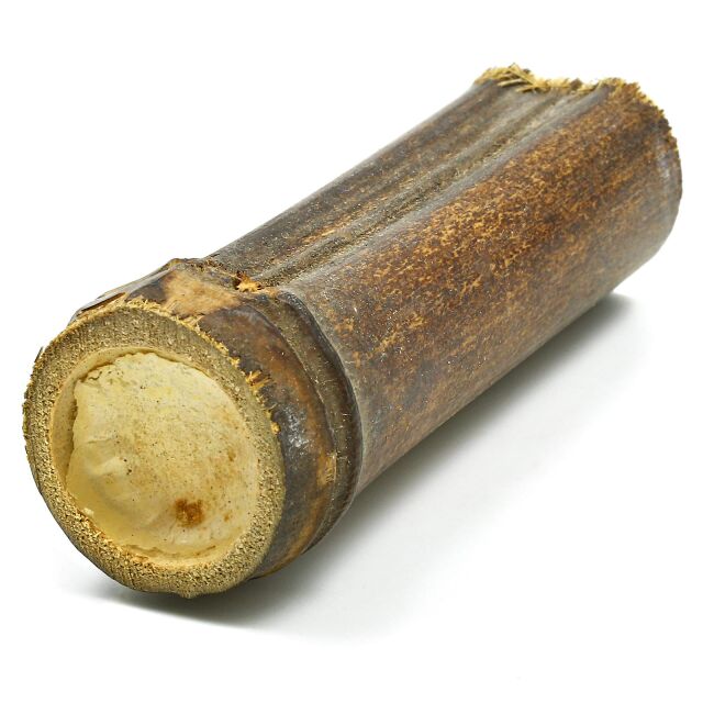 Bambus Höhle dunkel - 6-10 cm