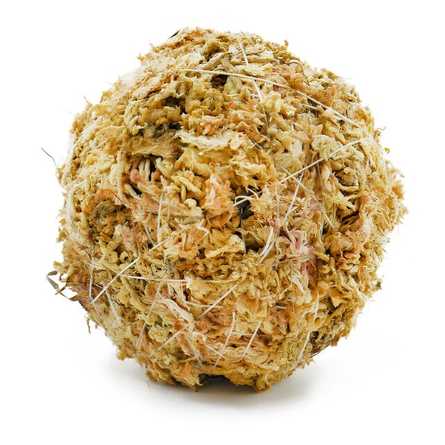 OPAquatics - WabiKusa Substrate Ball