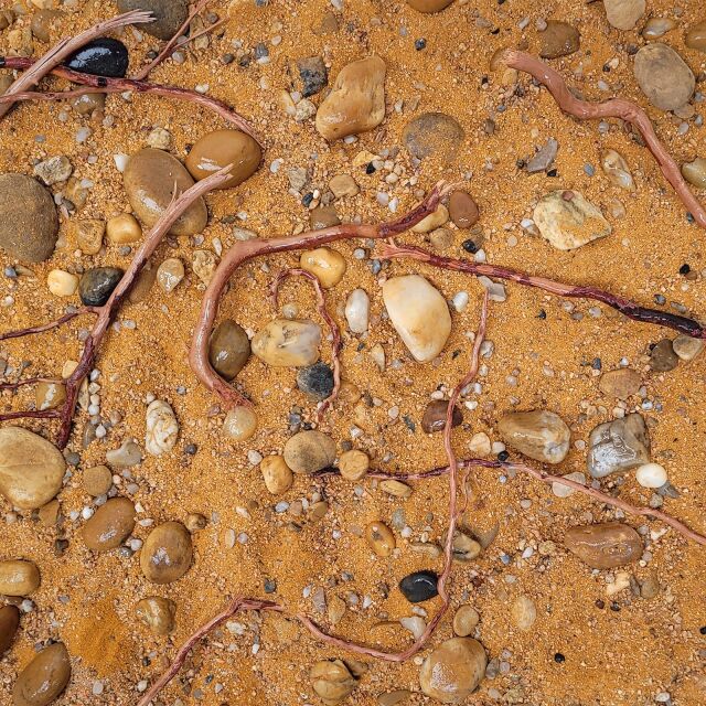 WIO - Decor-BiotopeBeds - Mere Biotope Arfrika