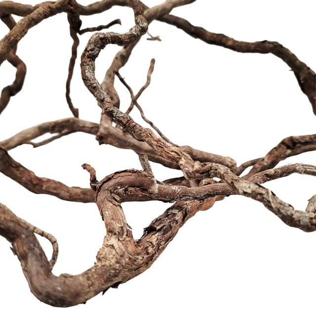 WIO - Roots - Elder Root