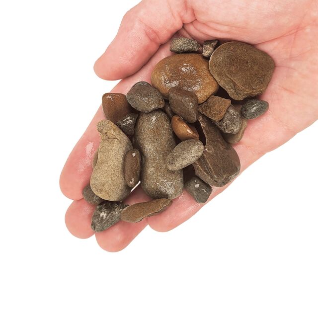 WIO - Gravels - Elderly