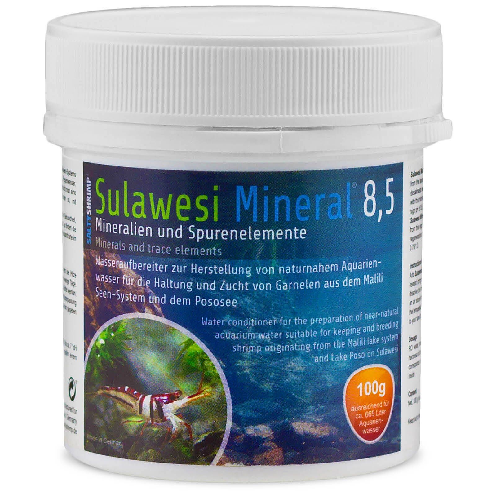 SaltyShrimp - Sulawesi Mineral - 8,5