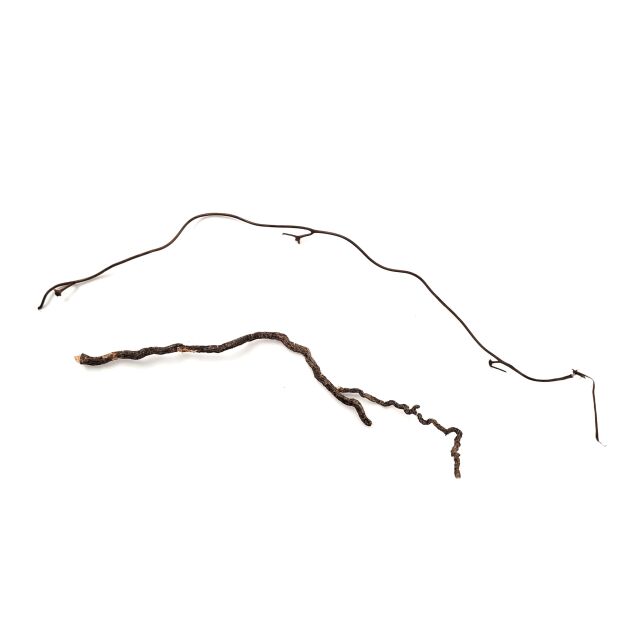 WIO - Decor-Roots - Mini Roots