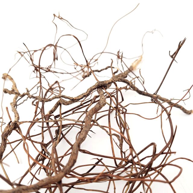 WIO - Decor-Roots - Mini Roots