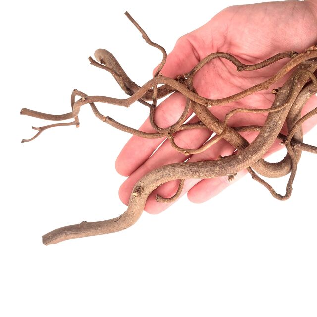 WIO - Decor-Roots - Twisted Roots