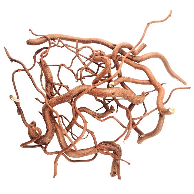 WIO - Roots - Twisted Root